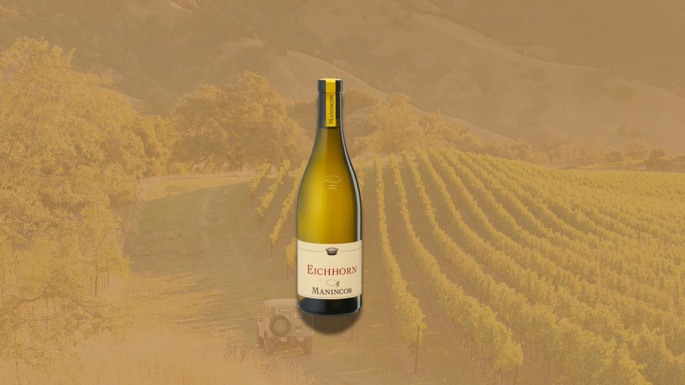 Manincor Eichhorn Pinot Bianco 2022